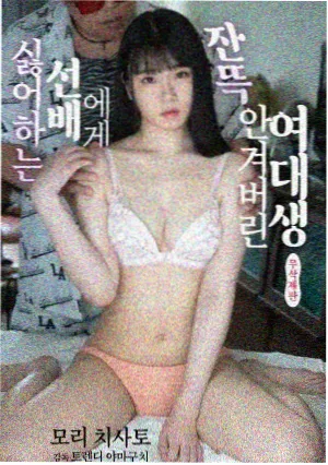 合租守则 短剧封面
